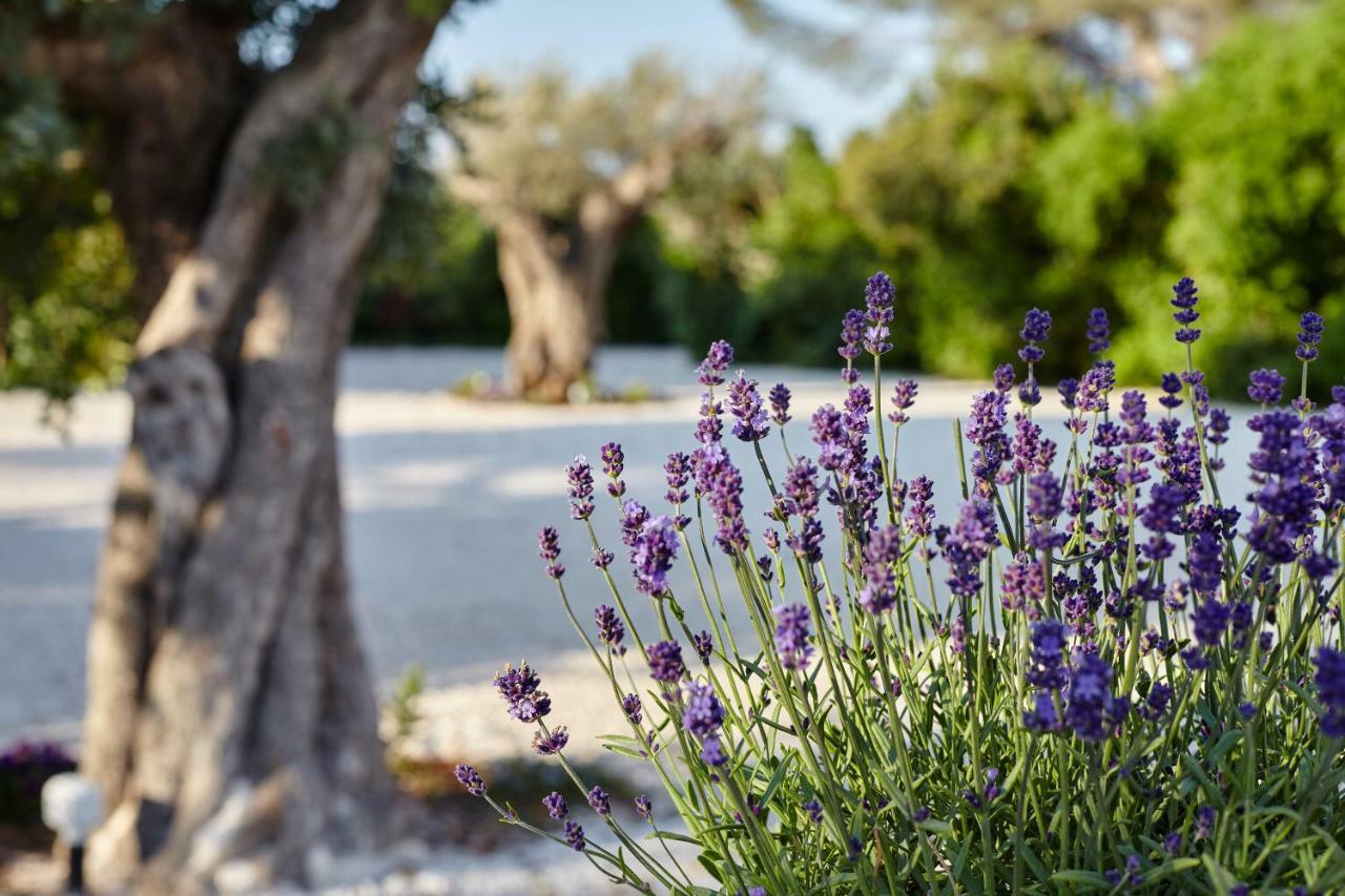 Agapanto Masseria Bed & Breakfast Conversano Dış mekan fotoğraf
