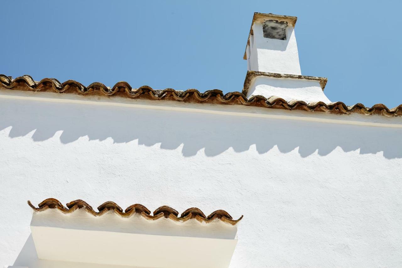 Agapanto Masseria Bed & Breakfast Conversano Dış mekan fotoğraf