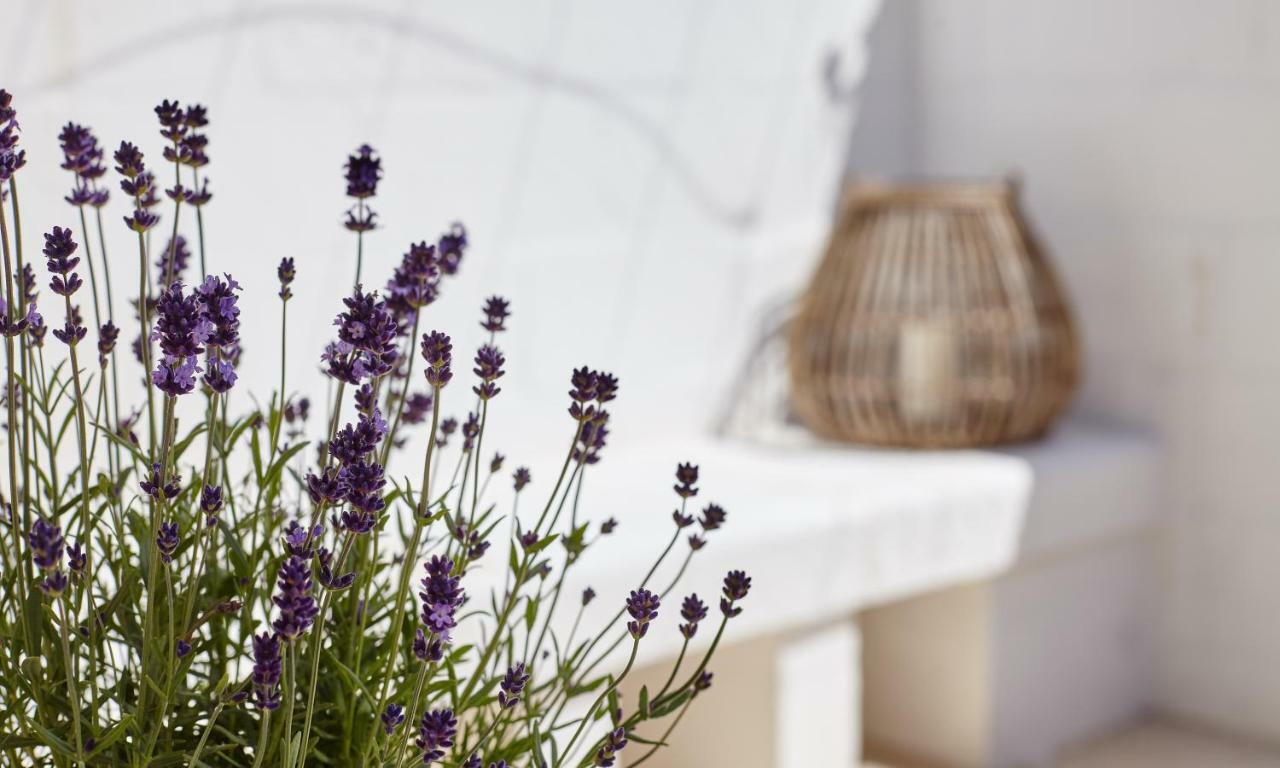 Agapanto Masseria Bed & Breakfast Conversano Dış mekan fotoğraf